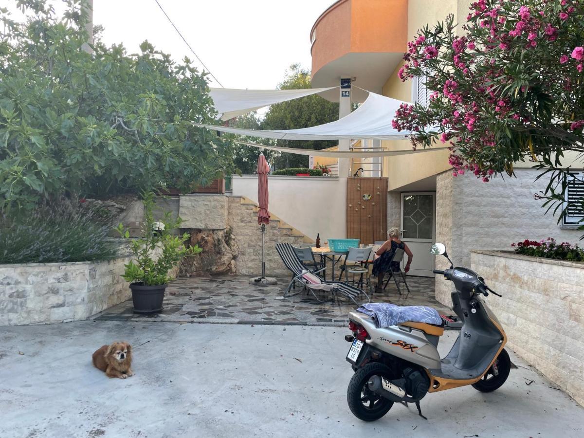 Ždrelac Apartments Prahovic מראה חיצוני תמונה