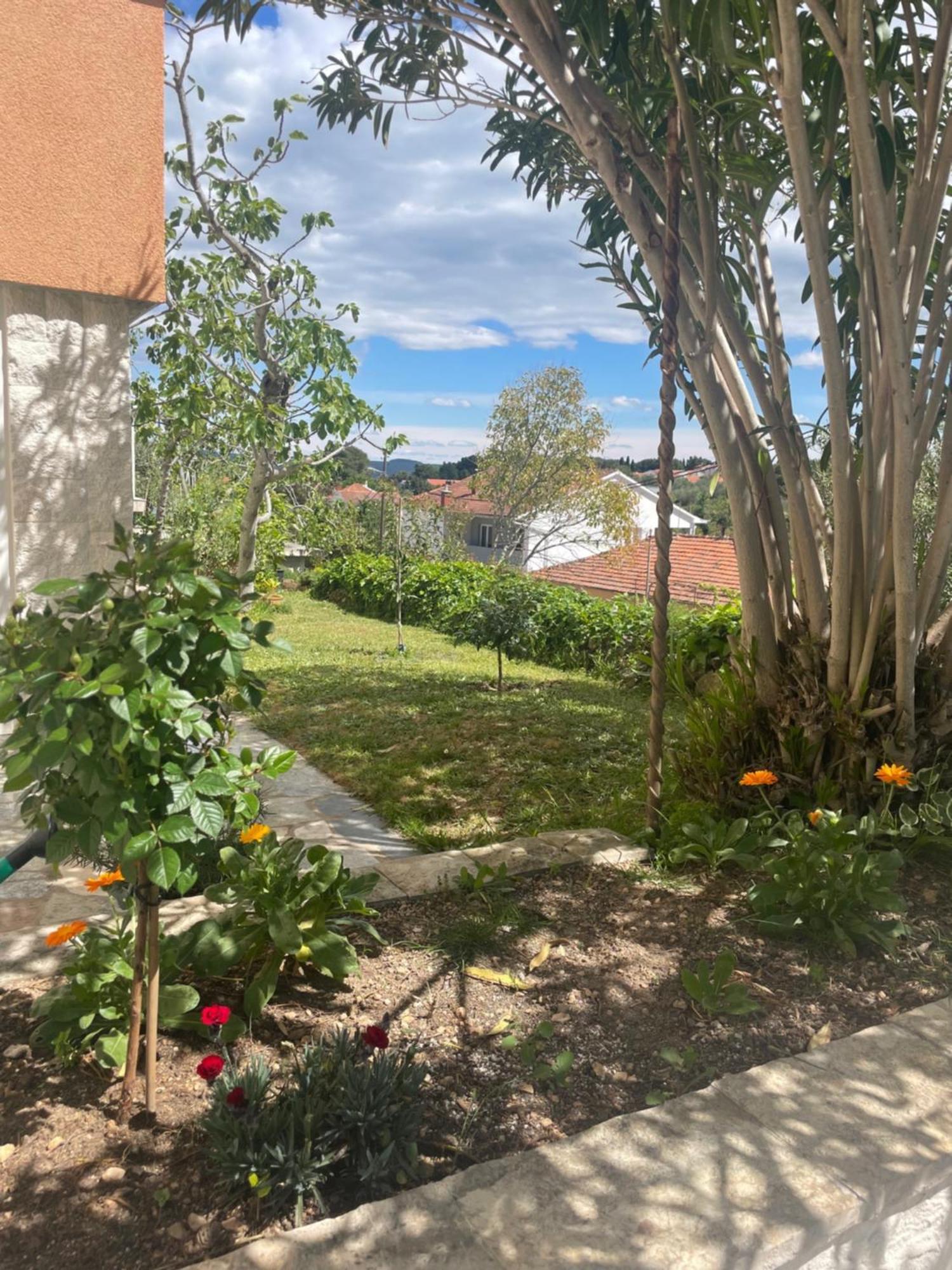 Ždrelac Apartments Prahovic מראה חיצוני תמונה